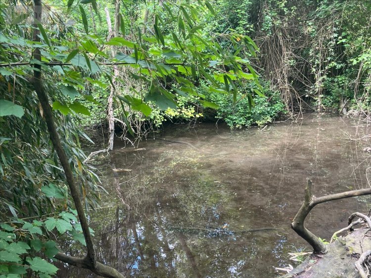 Maison a vendre La Chaussée-Saint-Victor 41260 Loir-et-Cher 240 m2 9 pièces 299000 euros