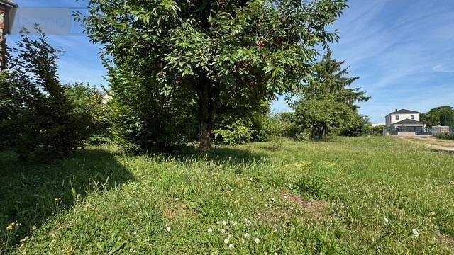 Maison a vendre Blancs Coteaux 51130 Marne 179 m2 4 pièces 262000 euros