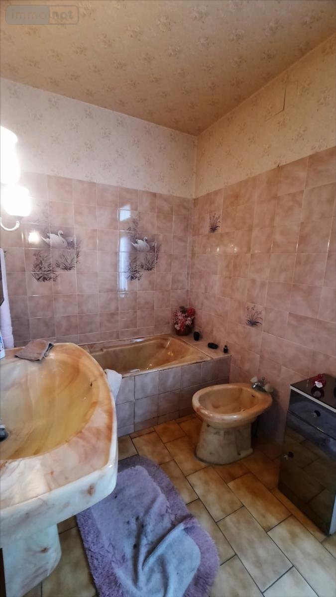 Maison a vendre Val-Fouzon 36210 Indre 101 m2 3 pièces 80000 euros