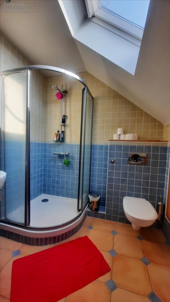 Maison a vendre Theillay 41300 Loir-et-Cher 225 m2 10 pièces 297900 euros