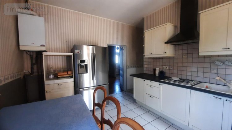 Maison a vendre Theillay 41300 Loir-et-Cher 225 m2 10 pièces 297900 euros