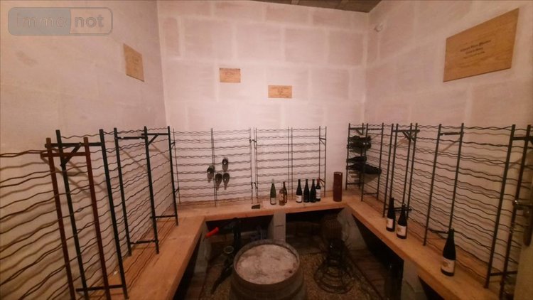 Maison a vendre Theillay 41300 Loir-et-Cher 225 m2 10 pièces 297900 euros