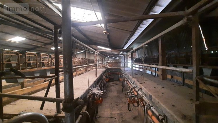 Bien agricole a vendre Luçay-le-Mâle 36360 Indre  119900 euros