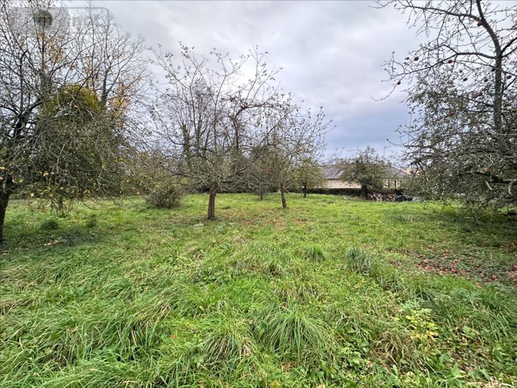 Maison a vendre Guipel 35440 Ille-et-Vilaine 123 m2 7 pièces 197072 euros