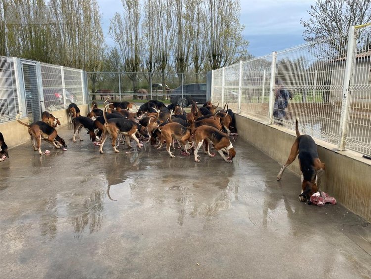 Maison a vendre Andilly 17230 Charente-Maritime 336 m2 8 pièces 1352000 euros