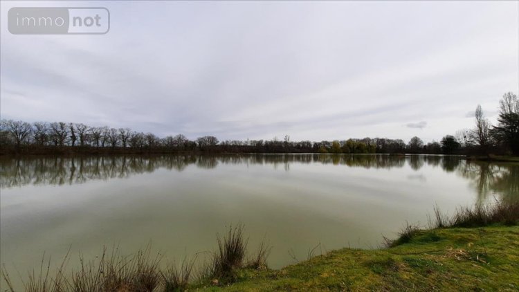 Terrains de loisirs bois etangs a vendre Arthon 36330 Indre 92910 m2  196200 euros