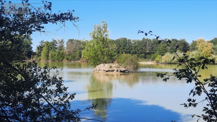 Terrains de loisirs bois etangs a vendre Arthon 36330 Indre 92910 m2  196200 euros