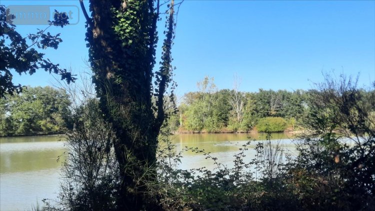 Terrains de loisirs bois etangs a vendre Arthon 36330 Indre 92910 m2  196200 euros