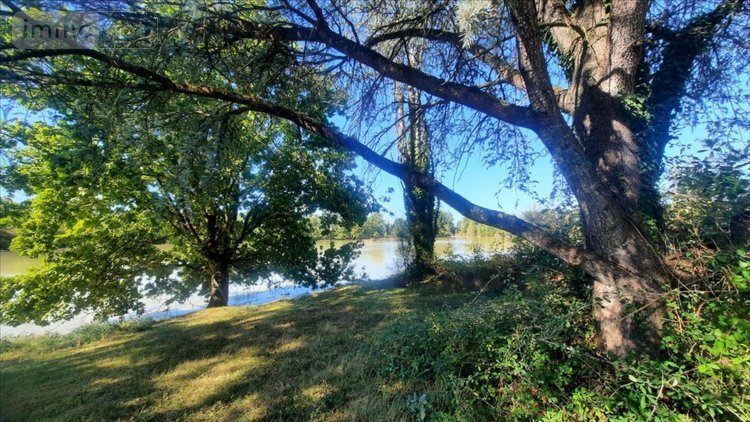 Terrains de loisirs bois etangs a vendre Arthon 36330 Indre 92910 m2  196200 euros