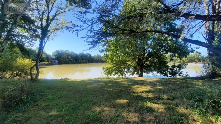 Terrains de loisirs bois etangs a vendre Arthon 36330 Indre 92910 m2  196200 euros