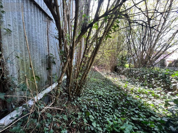 Maison a vendre Herbault 41190 Loir-et-Cher 50 m2 1 pièce 53750 euros