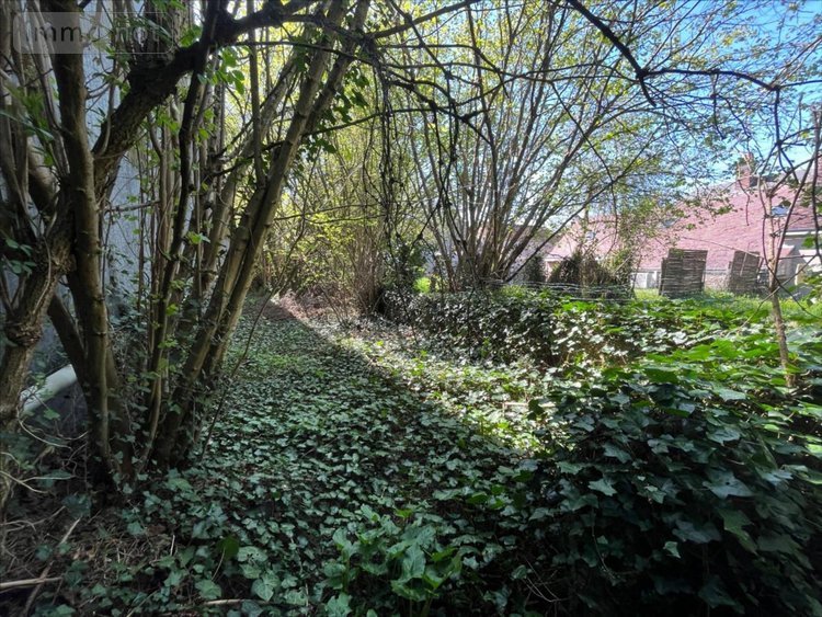 Maison a vendre Herbault 41190 Loir-et-Cher 50 m2 1 pièce 53750 euros