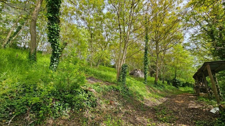 Maison a vendre Mazangé 41100 Loir-et-Cher 109 m2 5 pièces 207800 euros