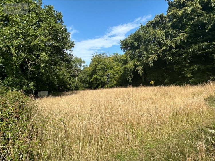 Maison a vendre Hautot-sur-Mer 76550 Seine-Maritime 90 m2 6 pièces 334900 euros