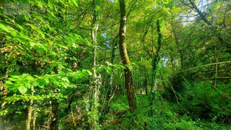 Maison a vendre Vicq-sur-Nahon 36600 Indre 60 m2 2 pièces 17400 euros