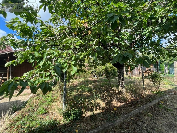 Maison a vendre Fossé 41330 Loir-et-Cher 121 m2 5 pièces 168970 euros