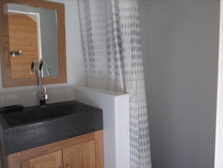 Maison a vendre Scey-sur-Saône-et-Saint-Albin 70360 Haute-Saône 396 m2 13 pièces 390000 euros