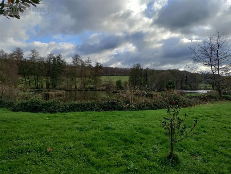 Terrains de loisirs bois etangs a vendre Saint-Jean-de-la-Motte 72510 Sarthe 29040 m2  75040 euros