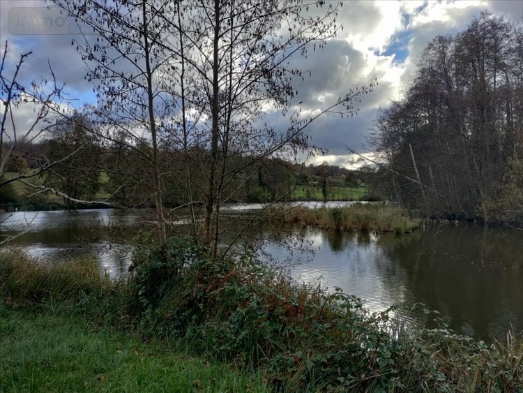 Terrains de loisirs bois etangs a vendre Saint-Jean-de-la-Motte 72510 Sarthe 29040 m2  75040 euros