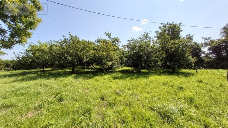 Maison a vendre Poullaouen 29246 Finistère 46 m2 3 pièces 63000 euros