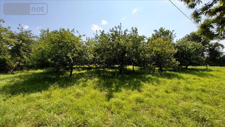 Maison a vendre Poullaouen 29246 Finistère 46 m2 3 pièces 63000 euros