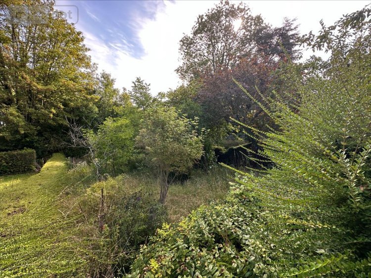 Maison a vendre Arques-la-Bataille 76880 Seine-Maritime 80 m2 4 pièces 115500 euros