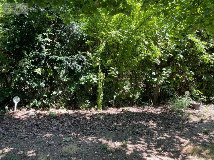 Terrain a batir a vendre Marans 17230 Charente-Maritime 1735 m2  141750 euros