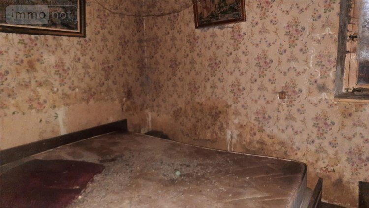 Maison a vendre Luçay-le-Mâle 36360 Indre 55 m2 3 pièces 43600 euros