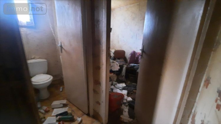 Maison a vendre Luçay-le-Mâle 36360 Indre 55 m2 3 pièces 43600 euros