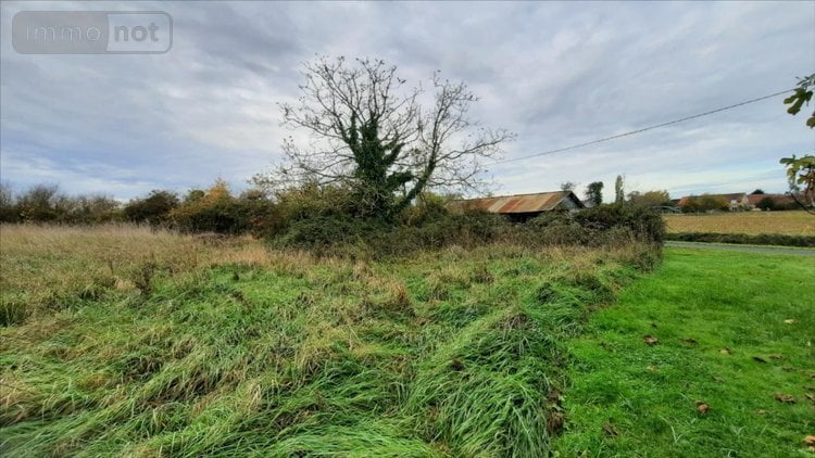 Maison a vendre Luçay-le-Mâle 36360 Indre 55 m2 3 pièces 43600 euros