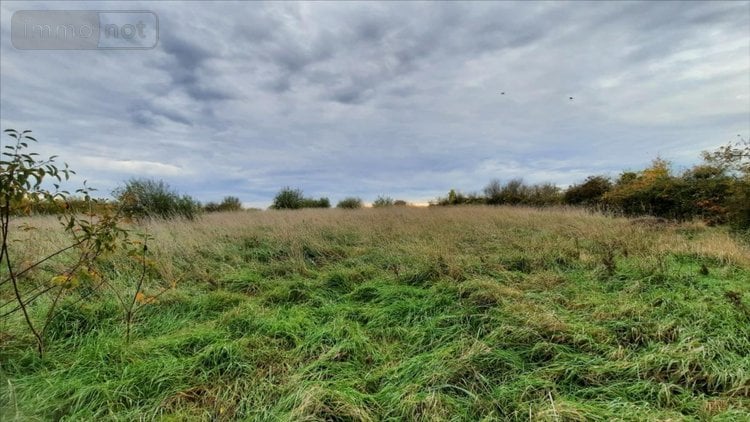 Maison a vendre Luçay-le-Mâle 36360 Indre 55 m2 3 pièces 43600 euros