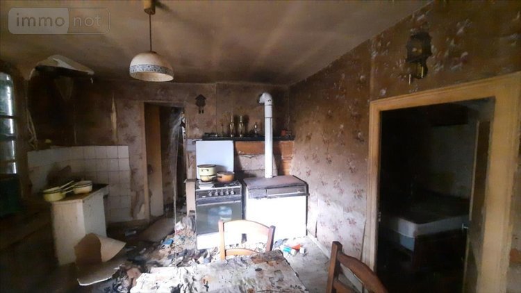 Maison a vendre Luçay-le-Mâle 36360 Indre 55 m2 3 pièces 43600 euros