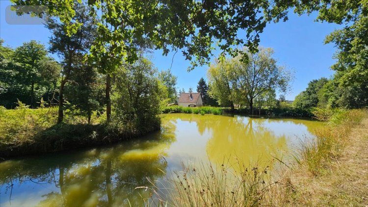 Maison a vendre Le Poislay 41270 Loir-et-Cher 61 m2 2 pièces 99400 euros