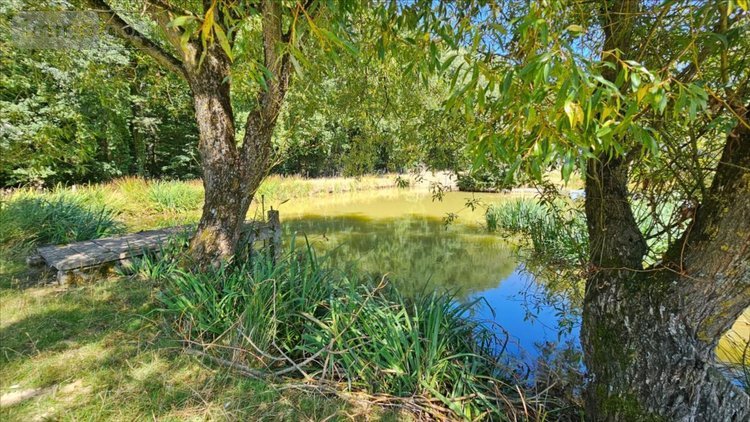 Maison a vendre Le Poislay 41270 Loir-et-Cher 61 m2 2 pièces 99400 euros