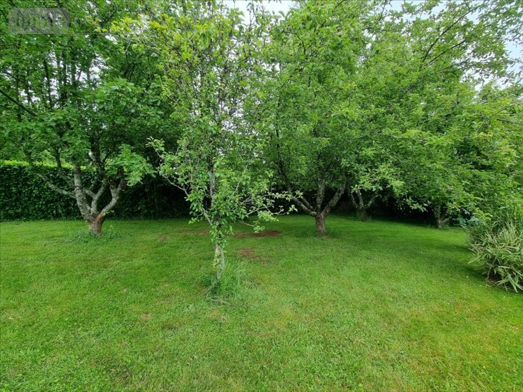 Maison a vendre Callac 22160 Côtes-d'Armor 145 m2 5 pièces 252000 euros