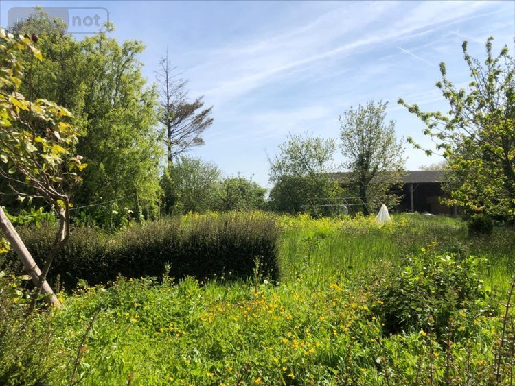 Maison a vendre Crasville 50630 Manche 102 m2 6 pièces 158100 euros