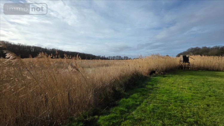 Terrains de loisirs bois etangs a vendre Mézières-en-Brenne 36290 Indre 72531 m2  213000 euros