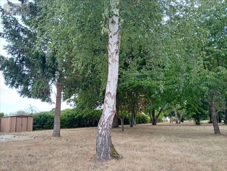 Maison a vendre Brette-les-Pins 72250 Sarthe 98 m2 5 pièces 196100 euros