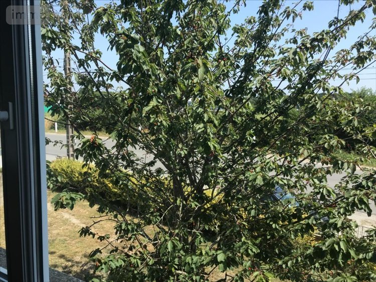 Maison a vendre Locmiquélic 56570 Morbihan 145 m2 6 pièces 556400 euros