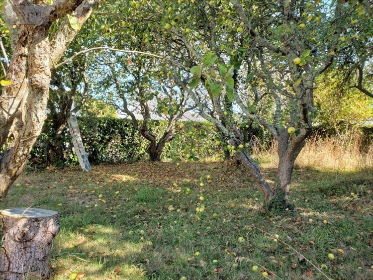 Maison a vendre Riantec 56670 Morbihan 130 m2 6 pièces 426400 euros