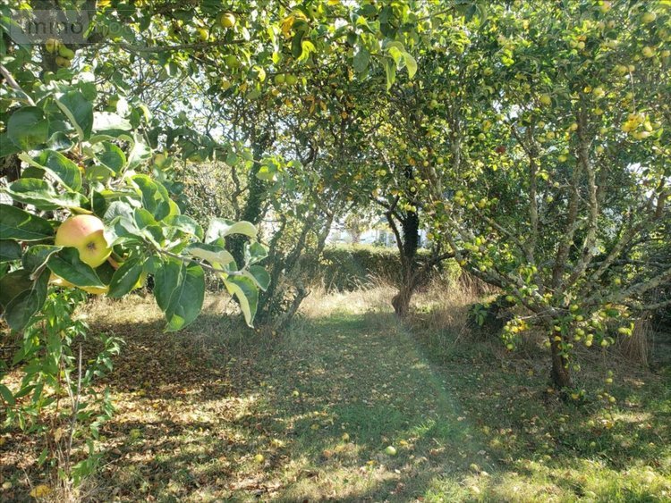 Maison a vendre Riantec 56670 Morbihan 130 m2 6 pièces 426400 euros