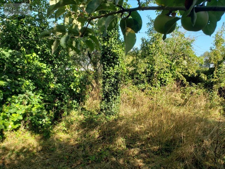 Maison a vendre Riantec 56670 Morbihan 130 m2 6 pièces 426400 euros