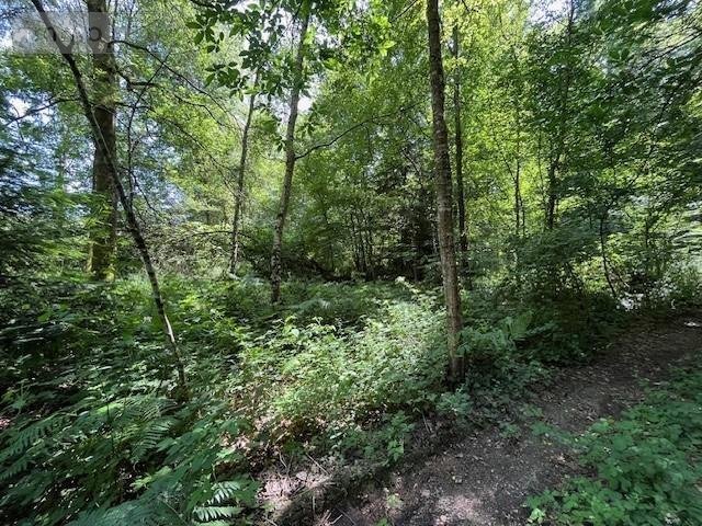 Terrains de loisirs bois etangs a vendre Broualan 35120 Ille-et-Vilaine 33000 m2  524600 euros