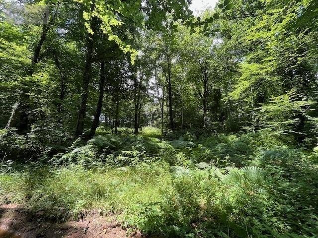 Terrains de loisirs bois etangs a vendre Broualan 35120 Ille-et-Vilaine 33000 m2  461720 euros