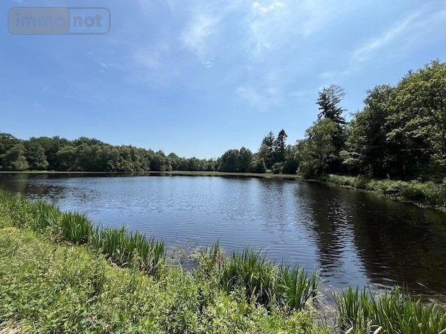 Terrains de loisirs bois etangs a vendre Broualan 35120 Ille-et-Vilaine 33000 m2  461720 euros