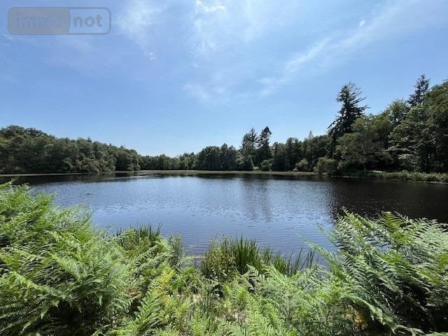 Terrains de loisirs bois etangs a vendre Broualan 35120 Ille-et-Vilaine 33000 m2  461720 euros