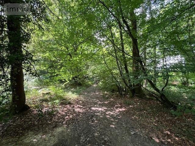 Terrains de loisirs bois etangs a vendre Broualan 35120 Ille-et-Vilaine 33000 m2  524600 euros