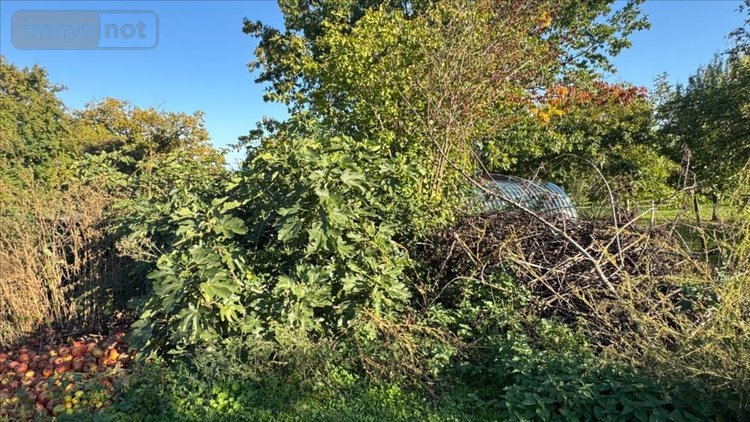 Maison a vendre Soulières 51130 Marne 186 m2 6 pièces 151960 euros