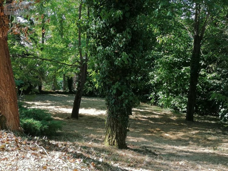 Maison a vendre Descartes 37160 Indre-et-Loire 91 m2 4 pièces 147000 euros