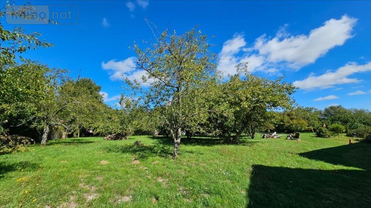 Maison a vendre Choue 41170 Loir-et-Cher 215 m2 6 pièces 311700 euros